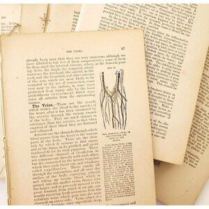 1893 Cottage Physician Victorian Ephemera Lot Of 300 Pcs Medical 1st Aid LGDWB3